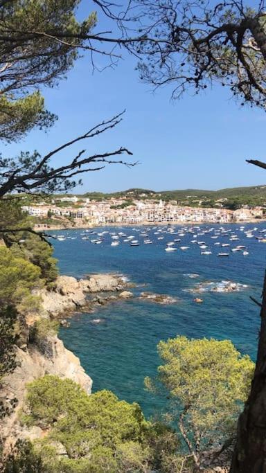 The Golden Oak In Calella Centre - 100M From Beach Palafrugell Extérieur photo